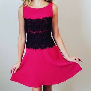 Ann Taylor LOFT Petites Hot Pink/Black Lace Dress
